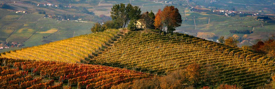 langhe